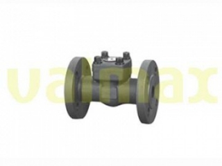 Check Valve, 150 LB, 1/2 Inch, Swing Type, Bolted Cap