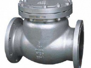 Pressure Seal Swing Check Valve, Butt Welded