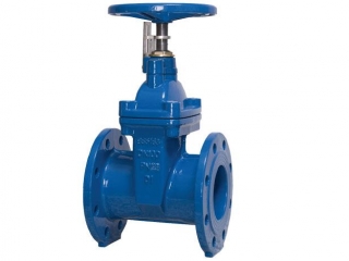 BS5163 Resilient Gate Valve