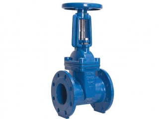 ANSI Resilient Gate Valve